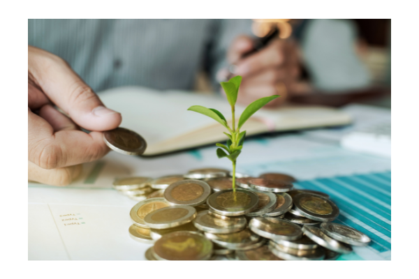 wealth planning